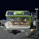 Kids Plant Growing Kit, Kids Gardening Greenhouse Growing Kit with Drip Irrigation and Grow Lights, Science STEM Toys Terrarium Kit for Boys Girls 3 4 5 6 7 8 Year Old,Kids Flower Growing Kit by TinyTreasures Baby Boutique