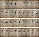 KIMOBER 144PCS Halloween Bottle Labels, Assoeted Vintage Laminated Animal Apothecary Potion Bottles Stickers for Halloween Party Supplies Photo Props by CozyNest Decor