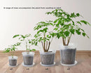 Large Clear pots for Plants,8 Sets 5/6/7/8 inch Thick Plastic Nursery pots for Plants with Drainage Holes for Monstera Plant Live,Succulents etc - Indoor and Outdoor use by GreenHaven Gardens