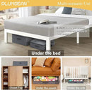 6-Inch Under Bed Organizer, Under Bed Storage Container, Under Crib/Couch Storage, Underbed Storage Box for Seasonal Clothing, Sweaters, Shoes, Blankets, Wrapping Paper & Toys 33" L×17" W×6" H by CozyNest Decor