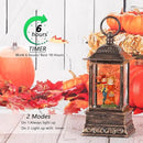 Fall Snow Globes, Scarecrow Couple with Pumpkin Scene Snow Globes, Glittering Lantern with Timer, Snow Globe Lantern USB or Battery Powered for Fall Festival Thanksgiving Day Decor by CozyNest Decor