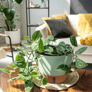 12/10/8 Inch Self Watering Pots for Indoor Plants Plastic Large Plant Pot for Outdoor Plants, Water Level Window & Spacious Reservoir Flower Pots Decorative Planter with Drainage and Tray (Green) by CozyNest Decor