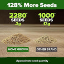 HOME GROWN 𝗨𝗦𝗔 𝗣𝗥𝗘𝗠𝗜𝗨𝗠 German Chamomile Seed Pack – 2,280 𝗡𝗢𝗡-𝗚𝗠𝗢 Heirloom Seeds for Planting for Sustainable Gardens and Soothing Medicinal Herbal Teas (Matricaria chamomilla) by GreenHaven Gardens