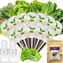 Salad Greens Seed Pod Kit for AeroGarden, iDoo, Ahopegarden, MUFGA with Red/Green Romain/American Fast/Buttercrunch/Parris Island Lettuce, Spinach - Compatible with All Garden (12-Pod) by GreenHaven Gardens
