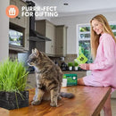 The Cat Ladies Cat Grass Kit with Black Rustic Wooden Planter, Organic Cat Grass Seeds and Soil. Easy to Grow Cat Grass for Indoor Cats. Prevent Hairballs and Aid Digestion by GreenHaven Gardens