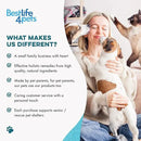 Cat Bad Breath & Oral Health Remedy, Natural Dental Care Cats Teeth, Mouth and Gums, Easy to Use Daily Supplement for Stomatitis, Gingivitis, Plaque & Tartar Control for Cats, 800 Small Pills by CozyNest Decor