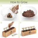 Bonsai Tree Kit – 5X Unique Japanese Bonzai Trees | Complete Indoor Bonsai Starter Kit for Growing Bonsai Plants with Tools & Planters – Gardening Gifts for Women & Men by GreenHaven Gardens