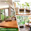 Ivolador Plant Propagation Stations 4 Test Tube Plants Terrariums in Wooden Stand Gifts for Plant Lovers for Hydroponic Plants Office Home Decor Hydroponic Vase Gift Box 2 Sets by GreenHaven Gardens