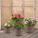 16 inch Plant Pots, Large Planters for Outdoor Plants Set of 4, Round Plastic Flower Pots with Drainage Holes & Trays, Modern Decorative Indoor Garden Pot, Plant Container for House (Black Copper) by CozyNest Decor