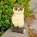 Outdoor Resin Owl Garden Statues, Figurine Sculpture-Owl Perched on Branch, Owl Decoration for Porch, Patio, Lawn, Yard, Whimsical Owl Table Bookshelf Ornament Accessories, Garden by GreenHaven Gardens