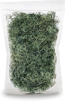 Premium Spanish Moss in Basil| Natural Preserved - Great Ground Cover - Filler for Potted Plants - by GARDENERA - 1 Quart Bag by GreenHaven Gardens