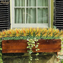 16Pcs Artificial Grass Fake Plants 17.3in Outdoor Plastic Plants UV Resistant Greenery Fake Grass for Home Window Garden Office Patio Hanging Planter Pathway Front Porch Décor Orange Yellow by GreenHaven Gardens