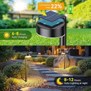 12 Pack Solar Pathway Lights Outdoor, 12 Brighter LED Solar Lights Outdoor Waterproof, Up to 12 Hrs Modern Solar Powered Path Light for Yard Garden Walkway Driveway by CozyNest Decor