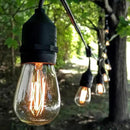 Hometown Evolution, Inc. 100 Foot E26 Commercial Outdoor Edison Bulb String Lights with Suspended Sockets (100 Foot 50 Socket, S14 Lantern Edison 11 Watt Bulbs) by CozyNest Decor