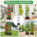 Lezmarket Self Watering Tomato Planter with Trellis for Patio, 55.9" Raised Garden Bed Planter Pot with Trellis, Plant Supports and Garden Shovel for Tomatoes, Climbing Plants by GreenHaven Gardens