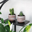 Mini Succulent Planter Set – 3.7 Inch Ceramic Pots with Drainage for Indoor Plants, Small Decorative Flower Pots for Cactus and House Plants, Set of 4 by CozyNest Decor