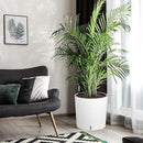 Tall Round Planter Set of 2, 19.5‘’ H x 19.9" Dia Large Planters for Indoor Plants with Built-in Drainage and a Water Level Monitor and Wheels for Patio, Porch, Living Room, or Home Office, White by GreenHaven Gardens