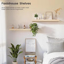 Natural Wood Floating Shelves 24”x 8”x 1.4” Book Shelf Floating for Wall Mounted, Heavy Duty Shelf Hold 60 lbs, Unfinished Wall Shelves for Bathroom, Living Room, Kitchen, Bedroom, Office by CozyNest Decor