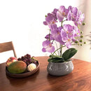 SJC Orchids Artificial Flowers with Gray Vase Purple Faux Orchid Phalaenopsis Arrangements for Kitchen Table Centerpiece Home Decoration Indoor(3.54" D x 7.87" W x 20" H) by CozyNest Decor
