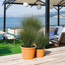 24PCS Fake Plants Artificial Wheat Grass Greenery Plastic Plants Fake Grass Artificial Plants for Outdoor Decor Artificial Grass Plant with Greenery Stems for Indoor Home Decoration 26.4" by CozyNest Decor