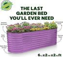 Galvanized Raised Garden Beds Outdoor // 6×2×2 ft Planter Raised Beds for Gardening, Vegetables, Flowers // Large Metal Garden Box (Purple) // Patented Tool-Free Design by GreenHaven Gardens