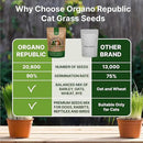 Organo Republic Cat Grass Seeds Mix - 20,800 Non-GMO Heirloom Seeds for Cats & Pets, 16 oz Pack for Growing Fresh Barley, Oat, Rye & Wheat Grass Seeds for Planting, Indoor Plants, Hairball Remedy by GreenHaven Gardens