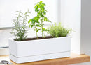 D'vine Dev 12 Inch Window Box Planter, Rectangle Plastic Herb Planter with Drainage Holes and Saucer, Indoor Succulent Cactus Vegetable Pot for Windowsill, Garden Balcony, White, Set of 2, 76-X-A-2 by GreenHaven Gardens