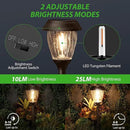 XMCOSY+ Solar Lights Pathway Outdoor - 2 LED Modes 10/25 LM Solar Powered Yard Garden Lighting, Waterproof IP65 Glass Stainless Steel Landscape Lights for Driveway Walkway Sidewalk Decor (Warm White) by GreenHaven Gardens
