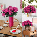 Hananona 12 Pcs Artificial Geranium Flowers for Outdoors Geranium Silk Flowers Outdoor UV Resistant Garden Plants Faux Flowers for Ptio Front Door Kitchen Table Centerpieces Home Decor (12, Rose Red) by CozyNest Decor
