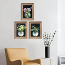 Walnut Wooden Frame Wall Hanging Planter for Hydroponic Plants，12'' x16''inch Wall Vase with Oblate-Shaped Acrylic Propagation Station，Bathroom, Office, or Living Room Decor, Set of 3 by CozyNest Decor