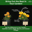 13-13-13 Slow Release Granular Fertilizer – All Purpose Plant Food 13 13 13 for Outdoor Grass, Vegetables, Roses, Flowers, Shrubs, Trees. Lawns, Gardens, Potted Plants (20 quarts) by GreenHaven Gardens