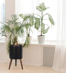 D'vine Dev 12 Inch Planter Pot with Stand, Mid-Century Tall Plant Pot with Legs for Indoor Plants, Large, Black, 88-O-C-2 by GreenHaven Gardens