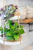 CEDAR+PINE 3-Tier Lined Hanging Fruit Basket Natural Woven Cotton with Strong Jute Rope Hanger in Gift Box Modern Hanging Basket for Kitchen by CozyNest Decor