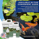 Aquascape Algaecide for Ponds, Waterfalls, and Fountains – Large-Scale Algae Control, 2.5 Gallons / 9.46 L, 96053 by GreenHaven Gardens