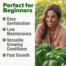 HOME GROWN 𝗨𝗦𝗔 𝗣𝗥𝗘𝗠𝗜𝗨𝗠 Italian Basil Seeds Bulk Pack 1,424 Sweet Large Leaf Basil Seeds for Planting 𝗡𝗢𝗡-𝗚𝗠𝗢 and Heirloom Herb Seeds for Planting Indoors or Outdoors (Ocimum basilicum) by GreenHaven Gardens