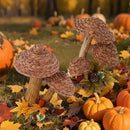 winemana 2 Pack Mushroom Fall Decor - Handmade Woven Mushrooms Figurines, Rustic Farmhouse Table Centerpieces for Thanksgiving, Autumn Home, Shelf & Kitchen Decor by CozyNest Decor