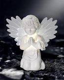 iStatue Solar Praying Cherub Angel Light with Fibre Optic Wings - 7.1'' Sympathy Remembrance Memorial Gift for Grave Ornaments Garden Decor (Kneeling Angel) by GreenHaven Gardens