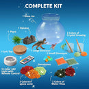 Klever Kits Make Your Own Dinosaur Crystal Terrarium Crafts Kit for Kids-Crystal Growing Science 12 Color LED Night Light Birthday Gifts Toys for Kids by TinyTreasures Baby Boutique