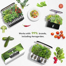 inbloom Fruit Seed Pod Kit for AeroGarden, Ahopegarden, GARDENCUBE, MUFGA, iDoo Hydroponics Growing System, 50-Pods (350+ Seeds Include Strawberry, Tomato, Cucumber, Pea, Ruby Queen Beet) by GreenHaven Gardens
