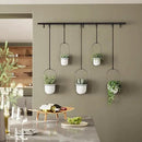 Umbra Triflora Hanging Planter for Window, Indoor Herb Garden, Set of 5, White/Black by GreenHaven Gardens