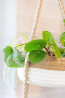 CEDAR+PINE 3-Tier Lined Hanging Fruit Basket Natural Woven Cotton with Strong Jute Rope Hanger in Gift Box Modern Hanging Basket for Kitchen by CozyNest Decor