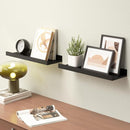 Floating Shelves Wall Mounted Set of 2, Modern Black Wall Shelves for Storage with Lip, Display Picture Ledge Shelf for Wall Decor Bedroom Living Room Bathroom Kitchen by TinyTreasures Baby Boutique