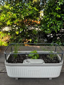 Vego garden 2 Pack Herb Indoor Plant Box, Self Watering Planters Pots for Indoor Plants with Trellis for Kitchen Window Sill or Countertop Plants Cage - Fog Gray by GreenHaven Gardens