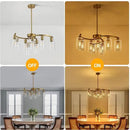 9-Light Gold Glass Chandelier, Adjustable Height Dining Room Light Fixtures Over Table, Contemporary Hanging Chandelier for Kitchen Island Living Room Foyer Office, Clear Glass Shade by CozyNest Decor