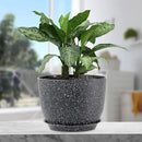 12 inch Big Plant Pots, Plastic Planters with Drainage Holes and Trays, Large Flower Pots for Indoor Outdoor Plants, Modern Decorative Pots for Garden House Plants, Speckled Black by GreenHaven Gardens