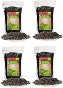 Begonia Potting Mix - Unlock Robust Growth and Enchanting Blossoms with Our High-Performance Formula - 20 Quart by GreenHaven Gardens