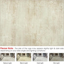 Washable Rug 6x9 Area Rugs, Abstract Large Living Room Rugs with Non-Slip Backing, Thin Carpet for Dorm Dining Room Table Nursery Indoor Home Office -Beige by TinyTreasures Baby Boutique