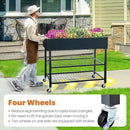 KING BIRD Raised Garden Bed with Legs & Double-Layer Storage Shelf, Galvanized Elevated Planter Box with Lockable Wheels for Backyard, Patio, Balcony, 400lb Capacity, Black, 48x24x38 in by GreenHaven Gardens