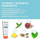 Himalaya Botanique Anticavity Fluoride Toothpaste, Fluoride with Multi-Benefit Support, Fights Cavities, Strengthens Enamel, Promotes Remineralization, Peppermint Flavor, 4 oz by CozyNest Decor