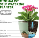 Plant Pots 10/9/8/7.5/7 Inch Self Watering Pots, Set of 5 Plastic Planters with Drainage Holes and Saucers,Plastic Flower Pots,Nursery Planting Pot for Indoor Out Door Plants（Green） by GreenHaven Gardens